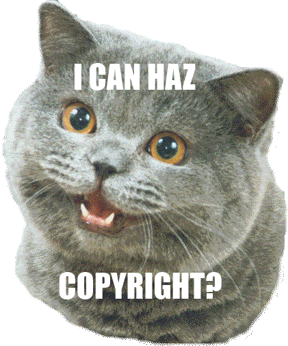 I can haz copyright?