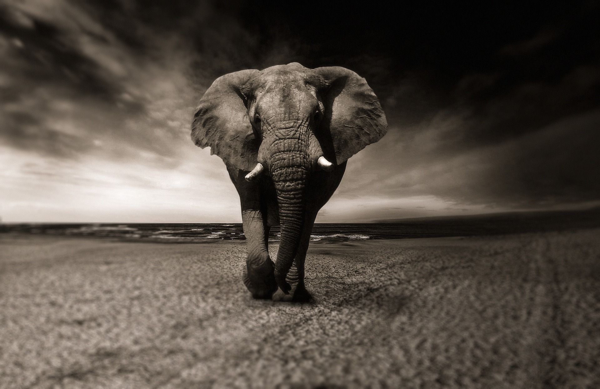 Standing on the Shoulders of a Giant Elephant: Upgrading Discourse to PostgreSQL 13